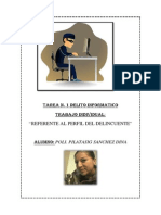 Ensayo El Perfil de Un Delincuente Informático