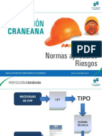 proteccion_craneana.pdf