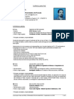 CV Rocha Amoros PDF