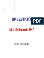 Transcripción TM 2009 PDF