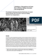 Comportamiento fisiológico y físico-químico de curuba (Tellez).pdf