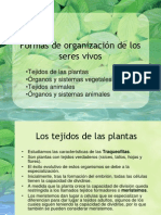 09-Formas_de_organizacion_de_los_seres_vivos.pdf