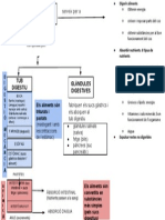 Tema 11 Esquema La Nutrició