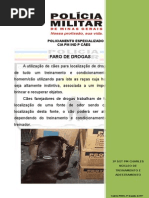 CaoAtivoeCaoPassivo.doc