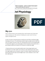 Owl Physiology, a chapter for book in progress