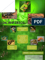 Album Anfibios PDF