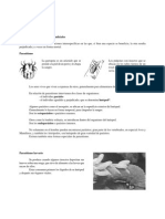 Ejercicios Parasitismo, Competencia y Predación PDF