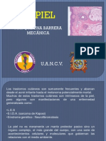 Patologia de Piel 2013.pdf