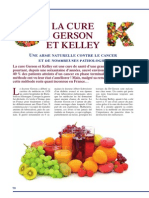 Cure Gerson Et Kelley PDF