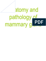 Anatomy and Pathology of Mammary Gland