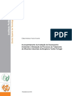 Cátia Vicente - Relatório de Estágio PDF