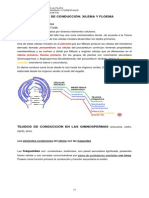 5_xilema_y_floema.pdf