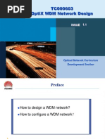 Optix WDM Network Design Issue1.1