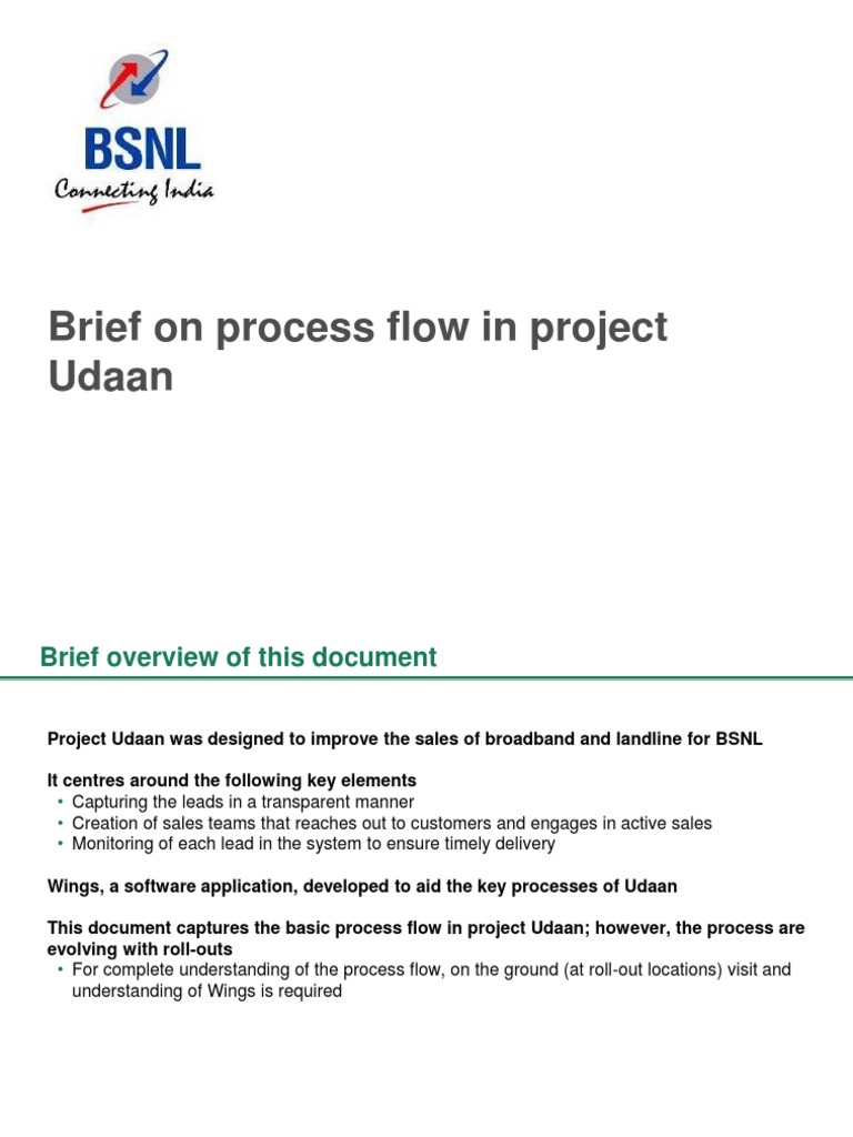 Brief On Process Flow Project Udaan | PDF | Computing | Business