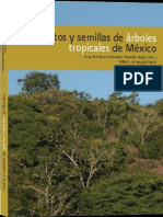 frutos y semillas de arboles tropicales en mexico.pdf