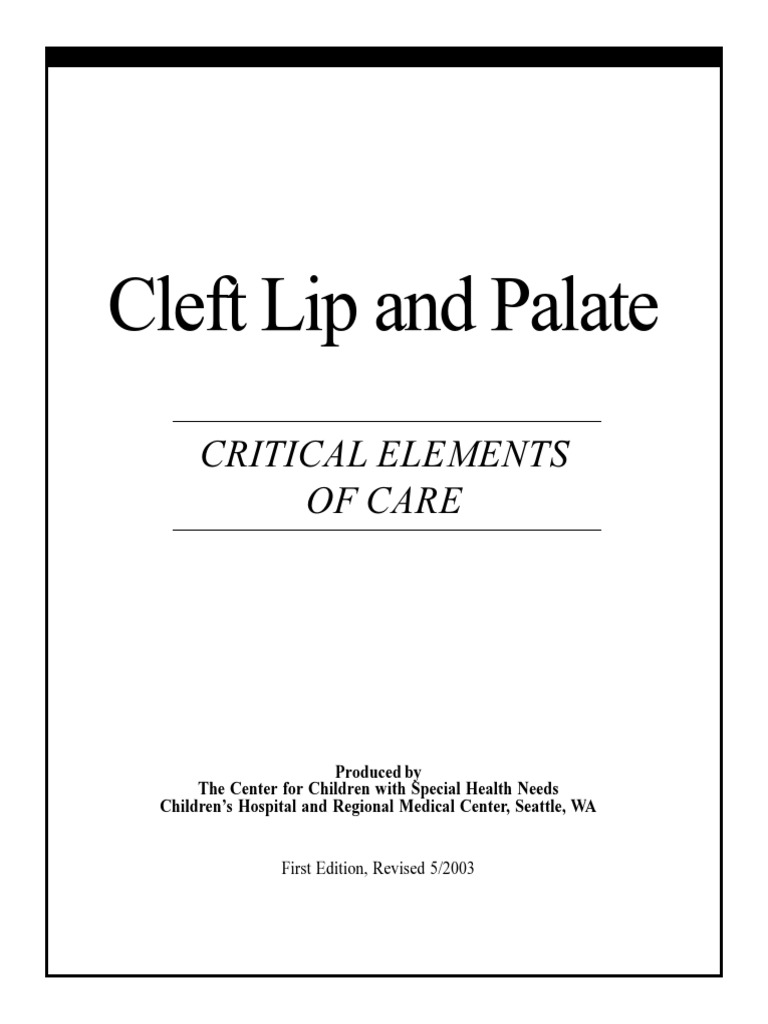 Cleft Lip and Palate Critical Elements of Care PDF Speech Language