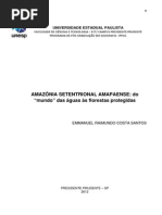 TESE_EMMANUEL1 (1).pdf