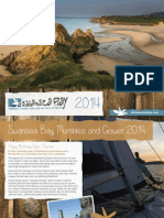 Swansea Bay PDF