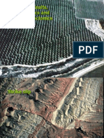 Strike Slip Faults, Salt Tectonics and Inversion Tectonics