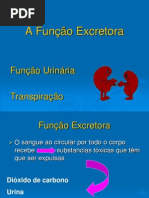 função excretora.ppt