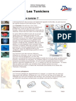 Cours Biologie Marine Tuniciers PDF