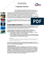 Cours Biologie Marine Vegetaux Ligne PDF