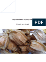 Hoja_Botanica_Aguaymanto_2012.pdf