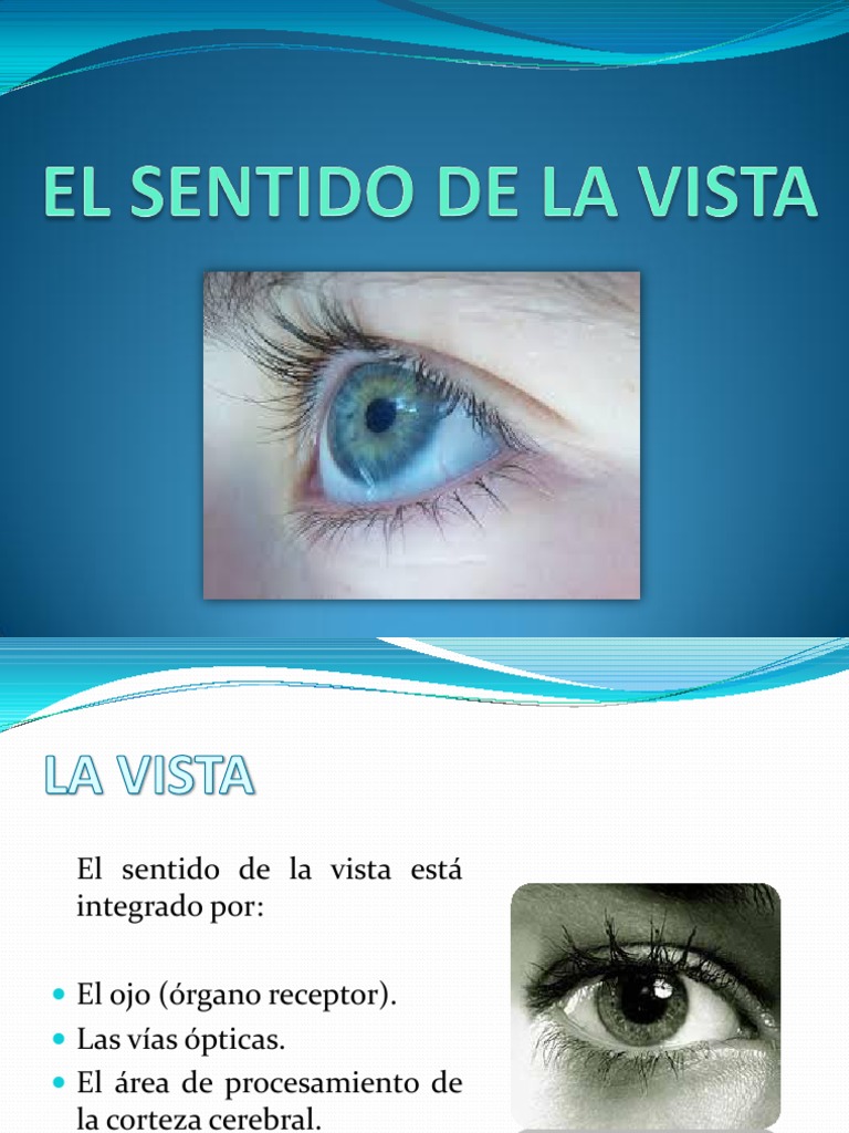 Sentido de La Vista | PDF | Ojo humano | Ojo