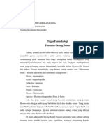 Download Sarang Semut Tugas by Mareta Ramadhona SN243336014 doc pdf