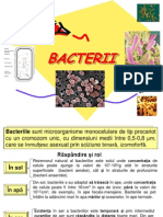 Microbiologie - Bacterii