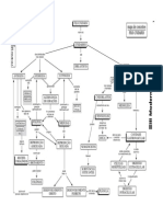 mapas058 Filo cnidaria.pdf