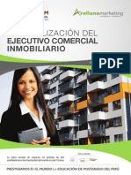 Brochure Ejecutivo Comercial Inmobiliario PDF