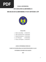Download Metabolisme Karbohidrat Degradasi Protein Dan Sintesis ATP by Gahar Ajeng Prawesthi SN243347037 doc pdf