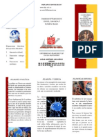 Folleto Filosofia y Ciencia, Politica, PDF