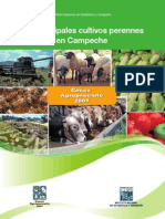 Pricupercam1 PDF