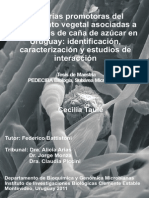 Uy24 15462 PDF