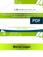 DS28 Guia PDF