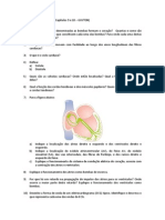Noname PDF