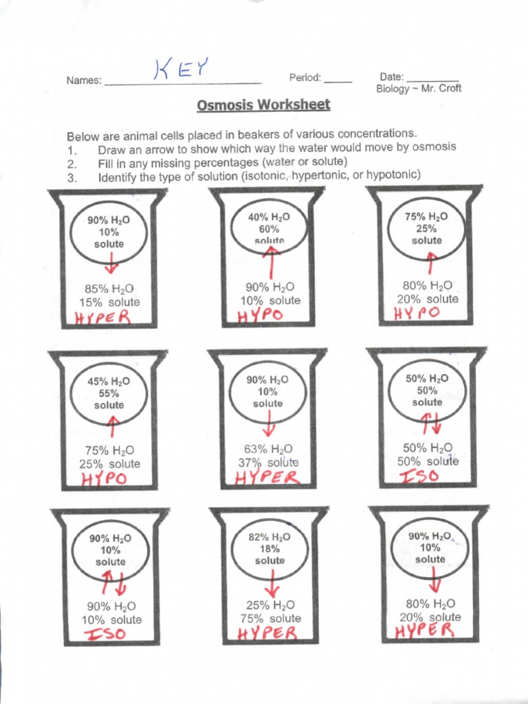 diffusion-and-osmosis-worksheet-answers-biology-textbooknova-zac-sheet