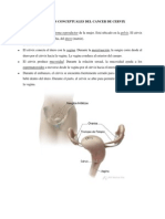 Aspectos Conceptuales Del Cancer de Cervix PDF