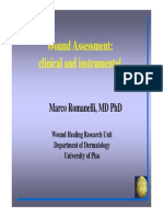 Marco+Romanelli+wound+assessment.pdf