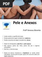 Pele e Anexos.pdf