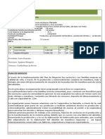 Plan_de_Negocio_del_Comite_JEROVIA.v. finalaprobado.docx