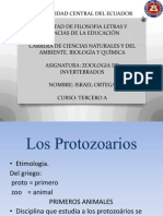 Protozoarios Power Point