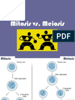 Mitosis vs Meiosis