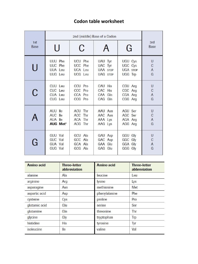 Codon Table Worksheet Codon Table Worksheet