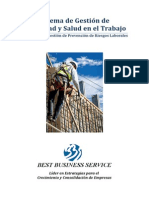 SGI Salud Seguridad Laboral OHSAS 18001 PDF