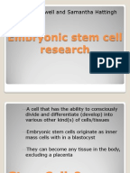 Against embryonic stem cell research essay