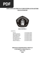 Download Isolasi Bakteri Dan Identifikasi Bakteri Gram Positif by Aziz Aminurrahman SN243410657 doc pdf
