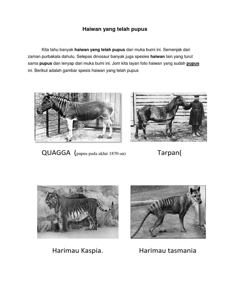 Haiwan Teah Pupus Pdf
